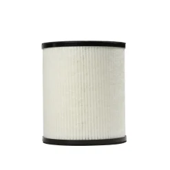 Filtre pour purificateur d'air