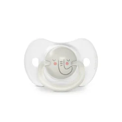 Lot de 2 sucettes phosphorescentes SX Pro 0/6M Night&Day