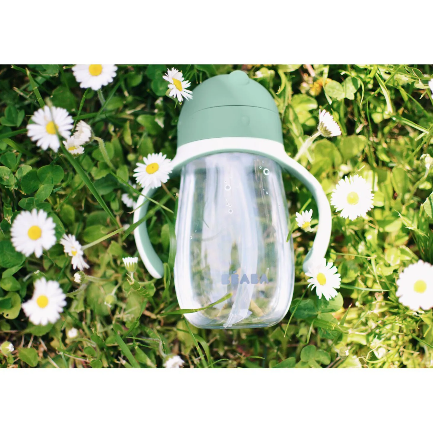 Tasse paille 300ml Vert sauge